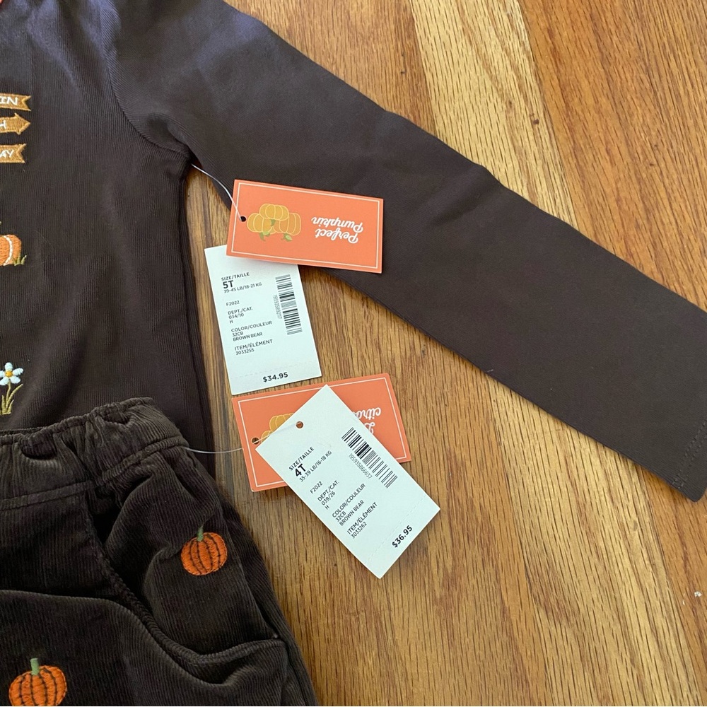 Gymboree Pumpkin Patch Girls Set - Picture 10 of 10